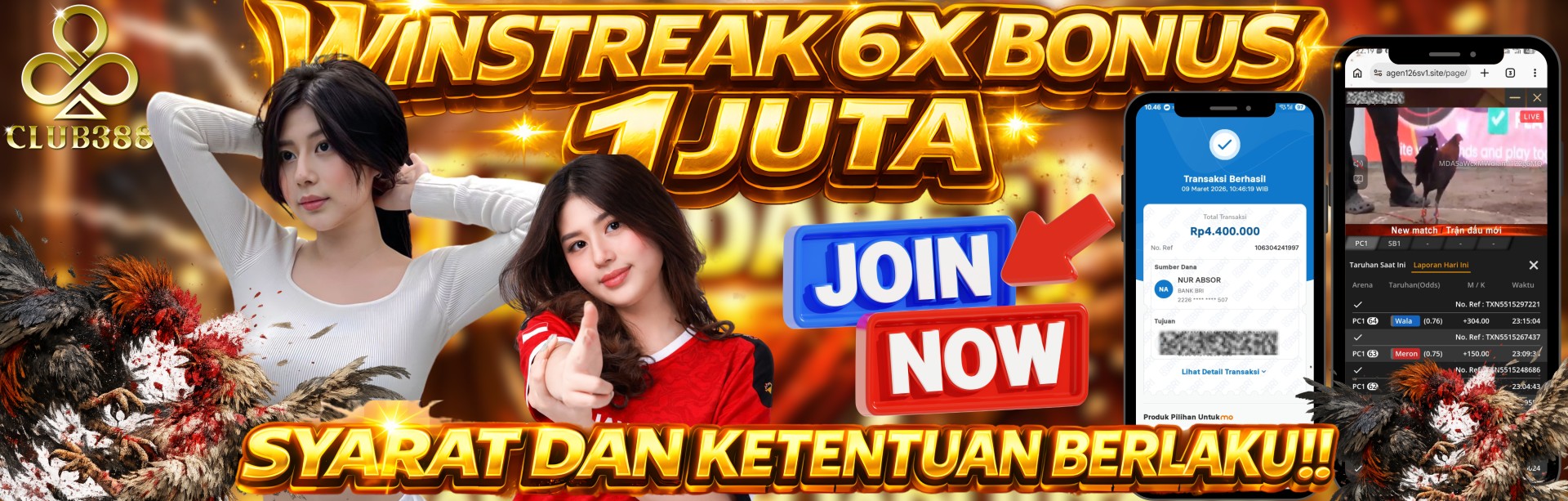 BANDAR SABUNG AYAM TERBESAR DAN TERPERCAYA | JANDABET